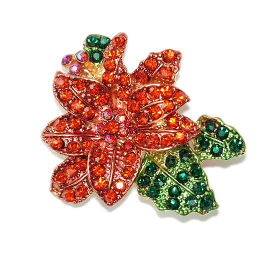 Poinsettia Éclat Jeanlet